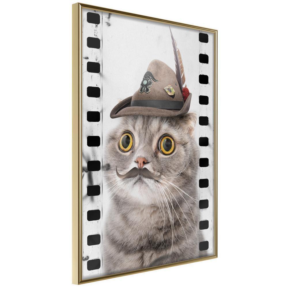 Frame Wall Art - Dressed Up Cat-artwork for wall with acrylic glass protection