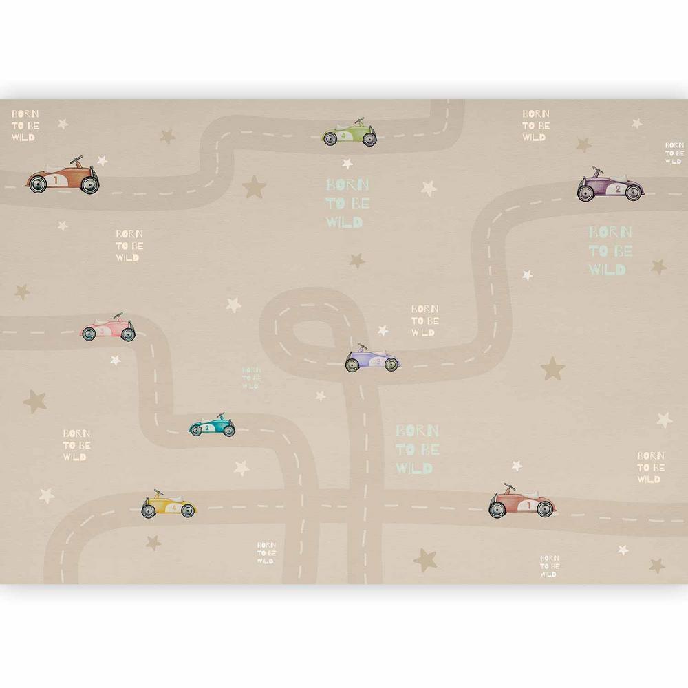 Wall Mural - Racing Cars