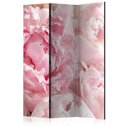 Room Divider - Sweet Peonies