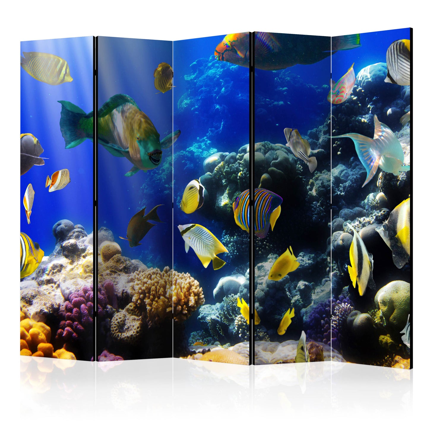 Room Divider - Underwater adventure II- A 5 Panel Folding Screen For Living rooms, bedrooms or home office, decorative folding screen made with wood and canvas