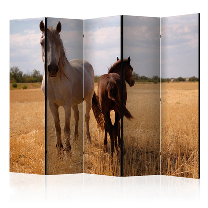 Room Divider - Horse and foal II- A 5 Panel Folding Screen For Living rooms, bedrooms or home office, decorative folding screen made with wood and canvas