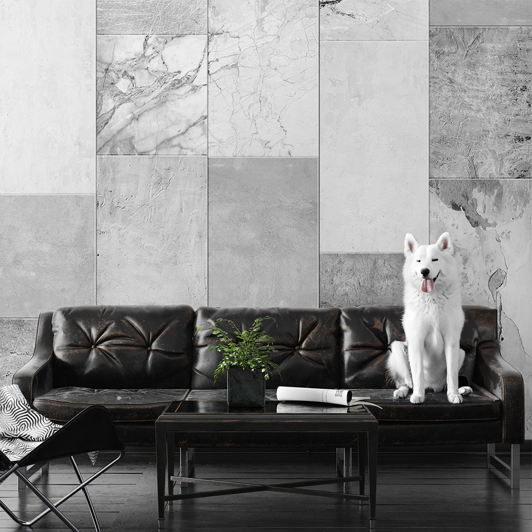 a white husky dog in a living room, the dog is standing over a black couch and there's a gray non woven wallpaper in the back wall of this living room