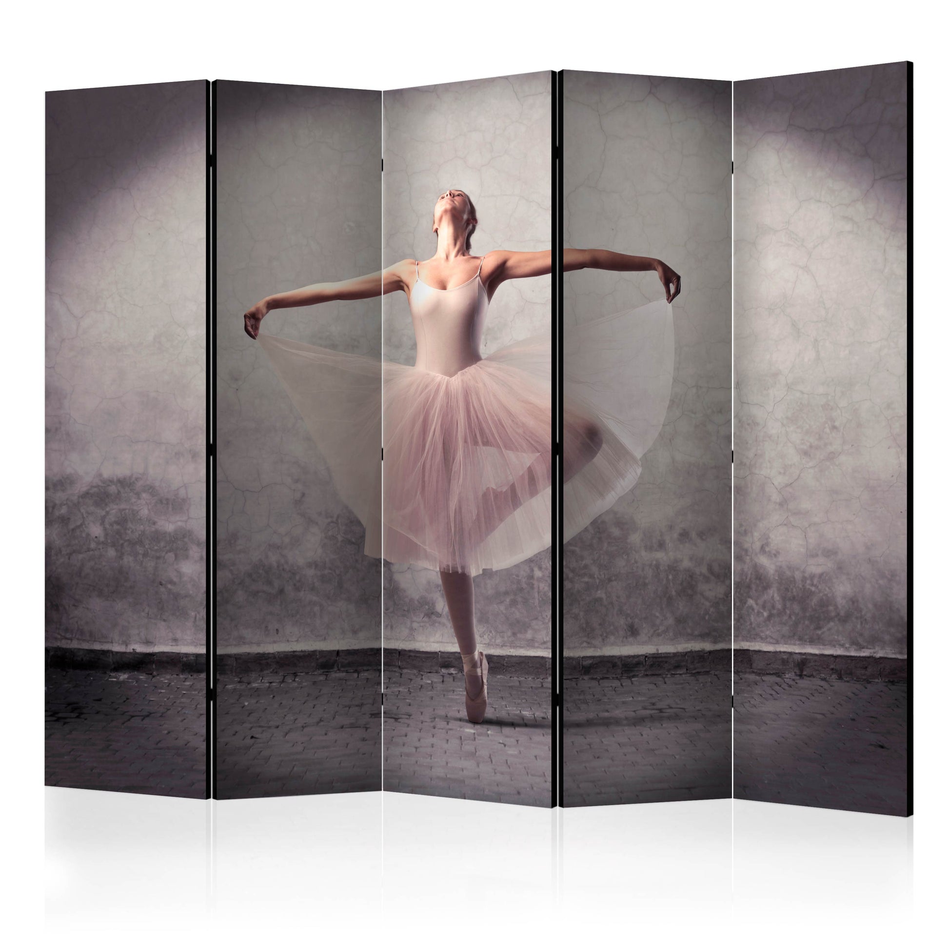 Room Divider - Classical dance - poetry without words II- A 5 Panel Folding Screen For Living rooms, bedrooms or home office, decorative folding screen made with wood and canvas