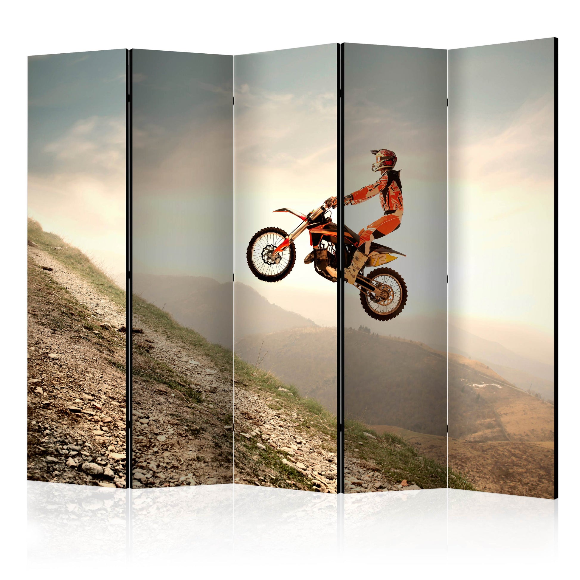 Room Divider - Motor sport II- A 5 Panel Folding Screen For Living rooms, bedrooms or home office, decorative folding screen made with wood and canvas